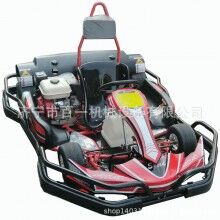 雙人座卡丁車(chē) 百一卡丁車(chē) 賽道卡丁車(chē)