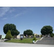  2018年日本東京國(guó)際包裝展覽會(huì)